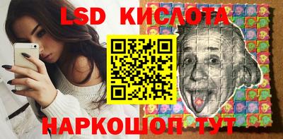 прущие грибы Гатчина