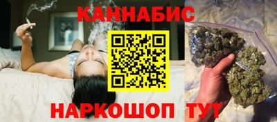 прущие грибы Гатчина