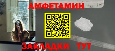 прущие грибы Гатчина